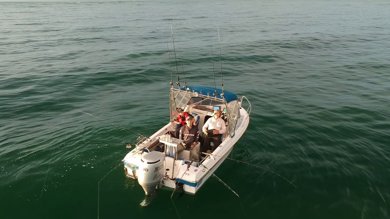 Haines Hunter 560F