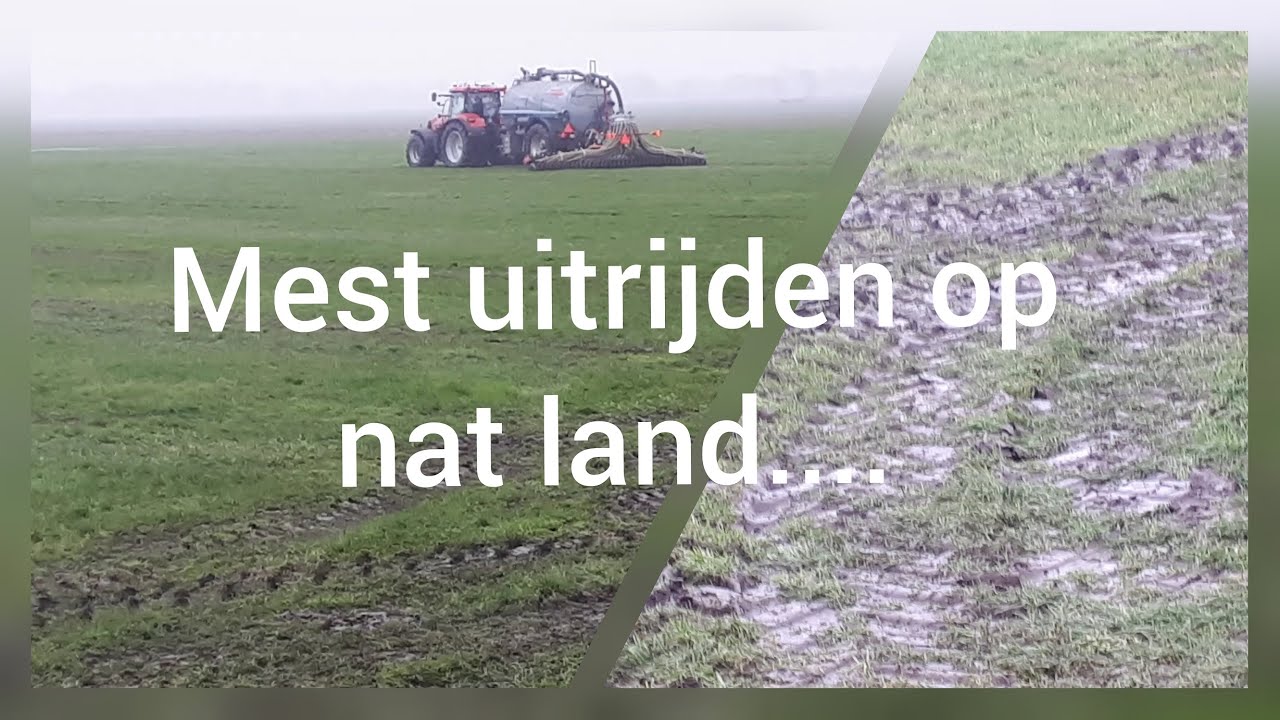 Boer Gerrit vlogt |  Stoppen met mest uitrijden omdat het land te nat is...