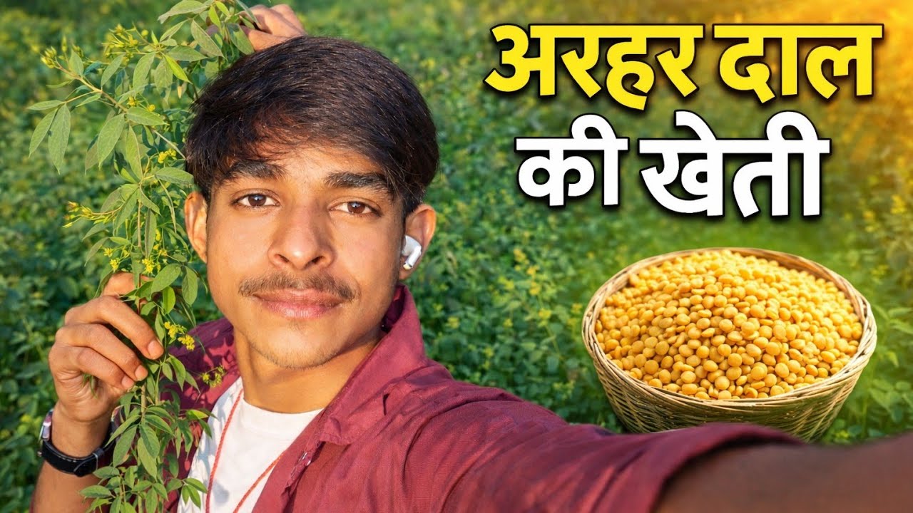 अरहर के खेत में पूरा दिन 🌱 | गांव का खेती वाला व्लॉग 🚜 | Vlog 