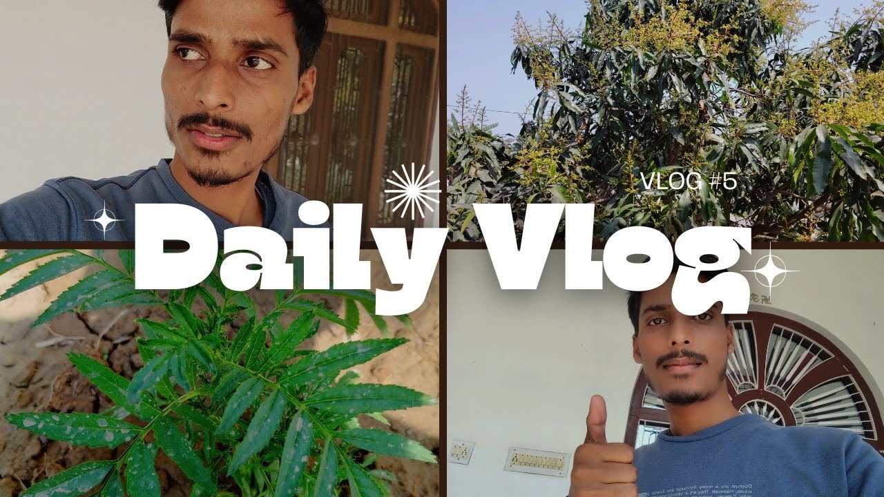 Ghar Ka Vlog #youtube #viral #vlog #home 