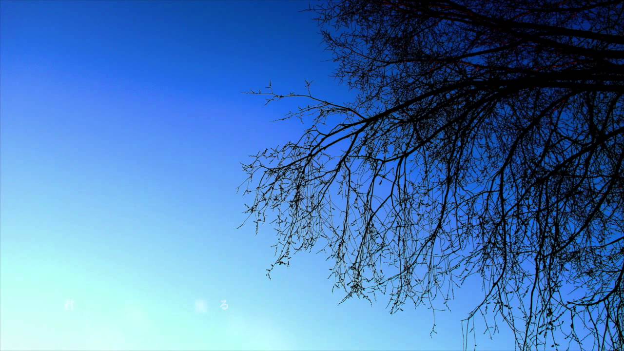 「12月と空」Cover by ヨシカワタイキ