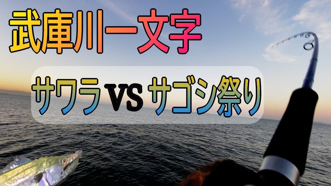 【武庫川一文字】 サワラ＆サゴシ祭りに参戦