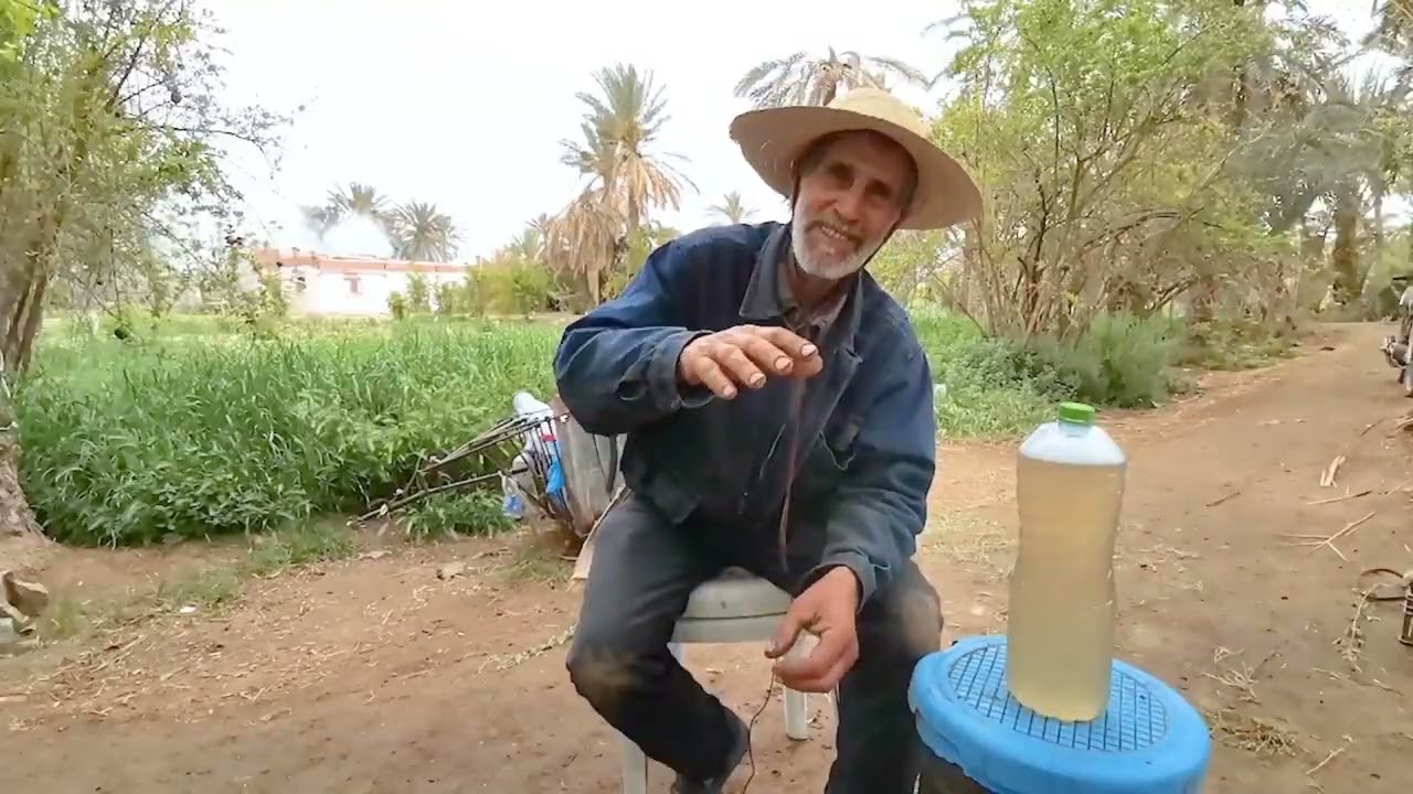 اللاقمي عصير النخيل - عمل صحفي حنان عدوني