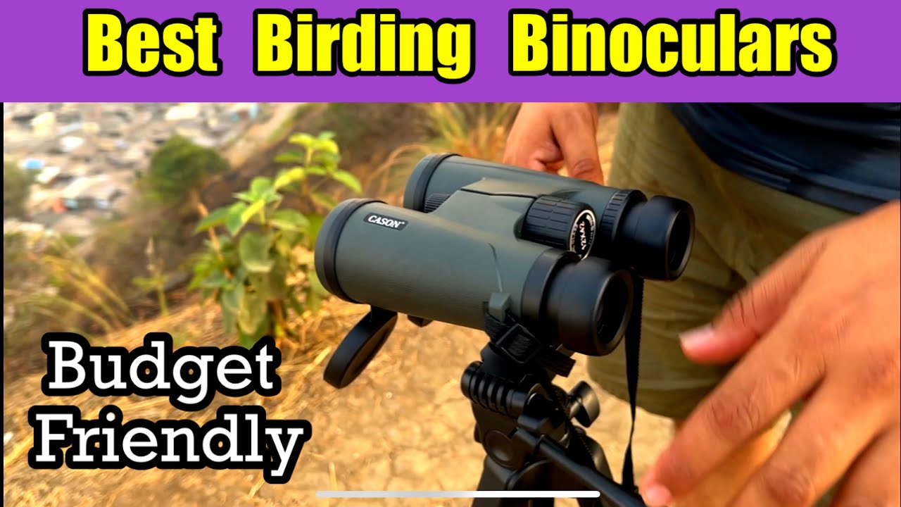 Best Binocular for Birding | Cason 12x42 Zoom Test #telescope #cason