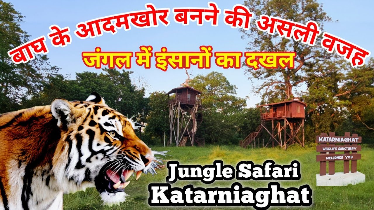 Katarniaghat Wildlife Sanctuary | बाघ के आदमखोर बनने की असली वजह | जंगल में इंसानी दखल | #Wildlife
