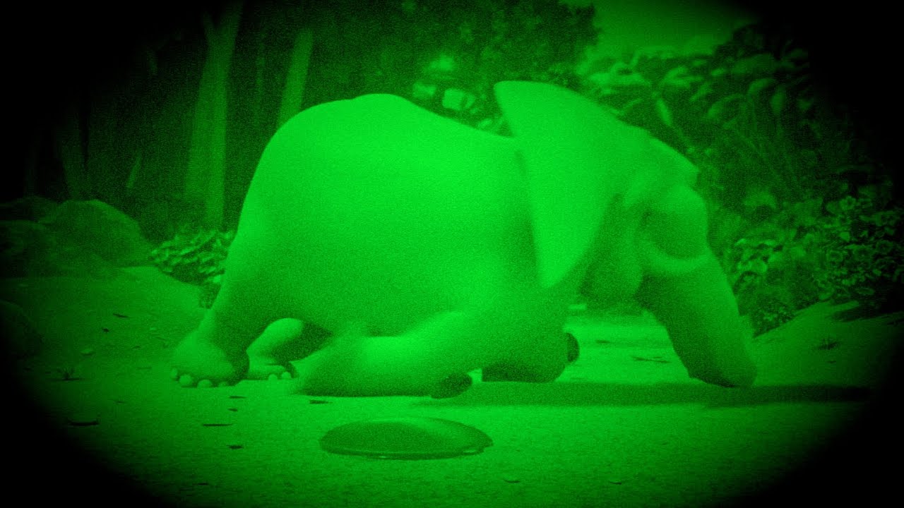 Monkey 🐒 shot the elephant 🐘 Jungle beats 