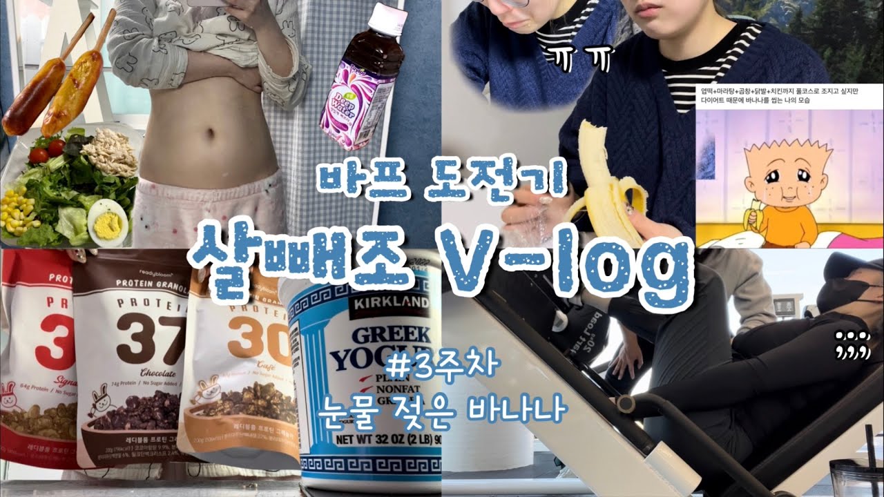 [바프다욧 브이로그#3] 처음으로 바프를 왜 말리는지 알게 됐다😢🍌 그릭요거트,그래놀라,닭가슴살 추천☆ 식욕이 폭발할 때 멘탈 잡는 방법🧠