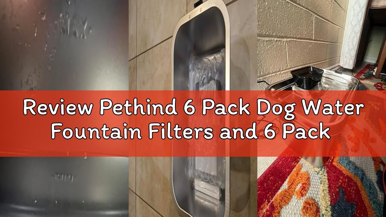 Review Pethind 6 Pack Dog Water Fountain Filters and 6 Pack Sponges, Suitable for Stainless Steel Do