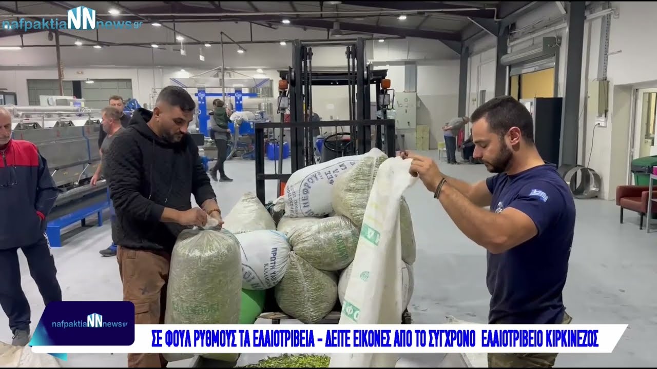 Σε φουλ ρυθμούς τα ελαιοτριβεία - Τι λένε οι παραγωγοί - Εικόνες από το ελαιοτριβείο Κιρκινέζος