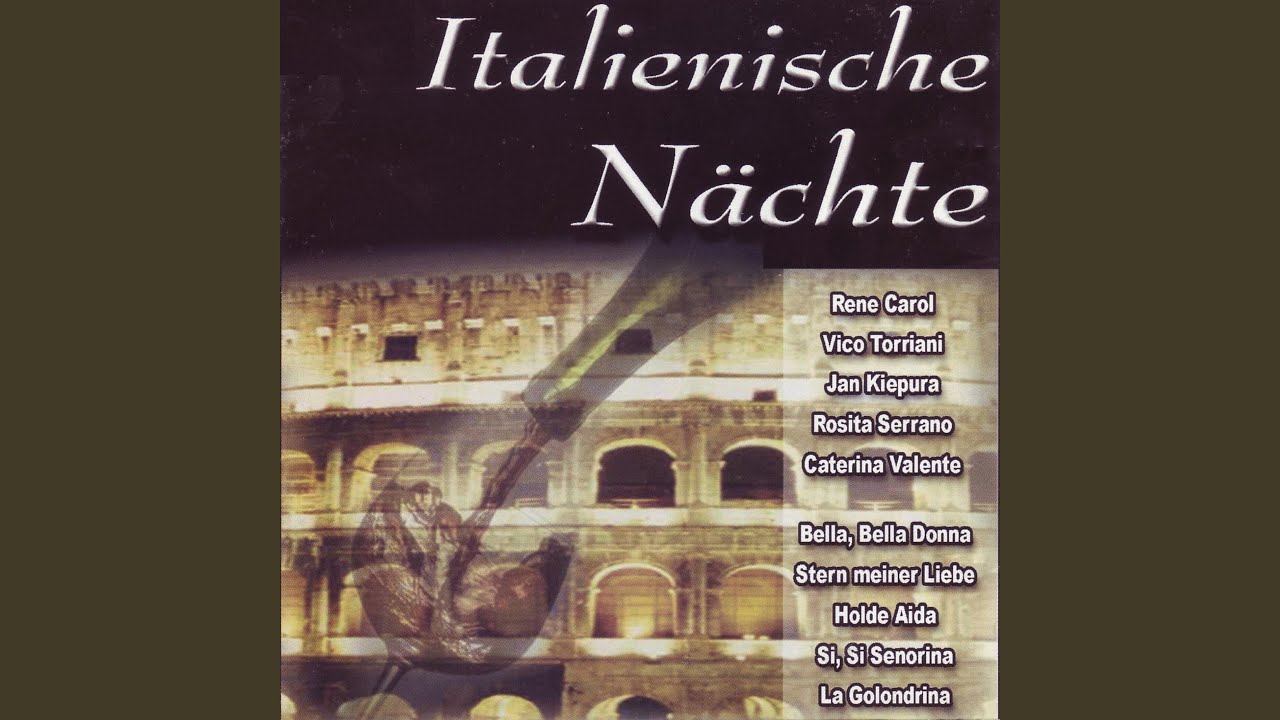 Stern Meiner Liebe