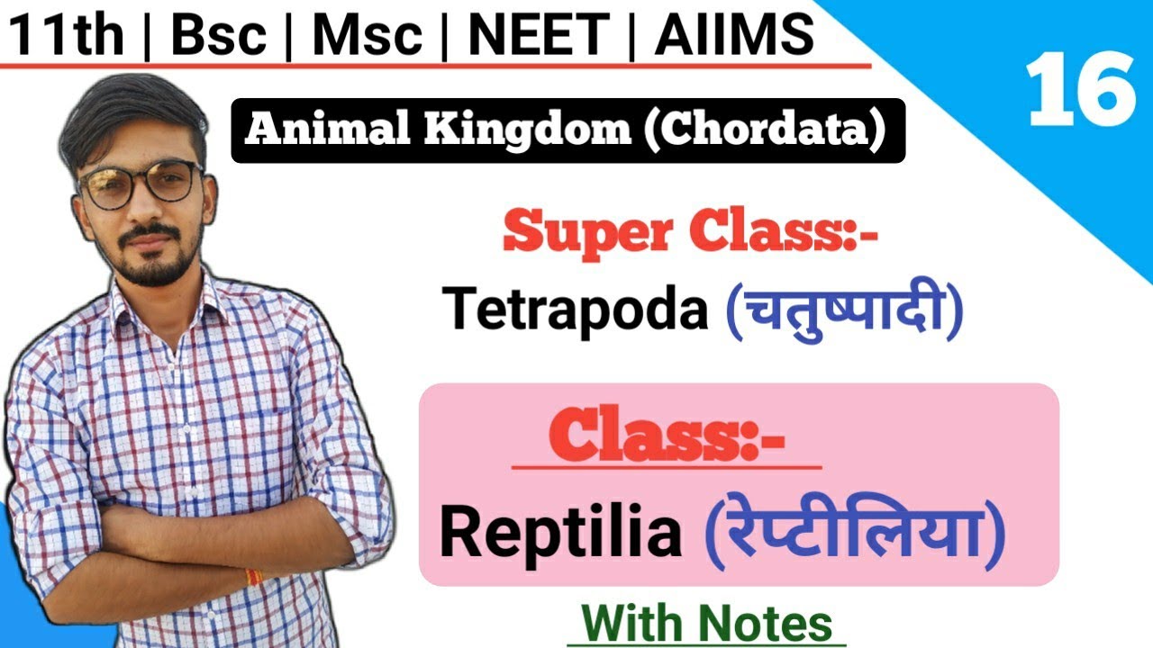 Class:- Reptilia (रेप्टीलिया) || Classification Of Chordates || Animal Kingdom || By Dadhich Sir