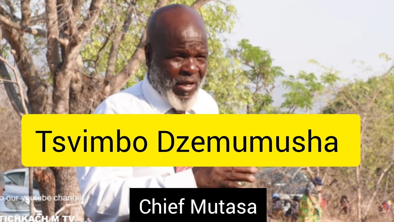 Dare Ra Chief Mutasa Tsvimbo Dzemumusha