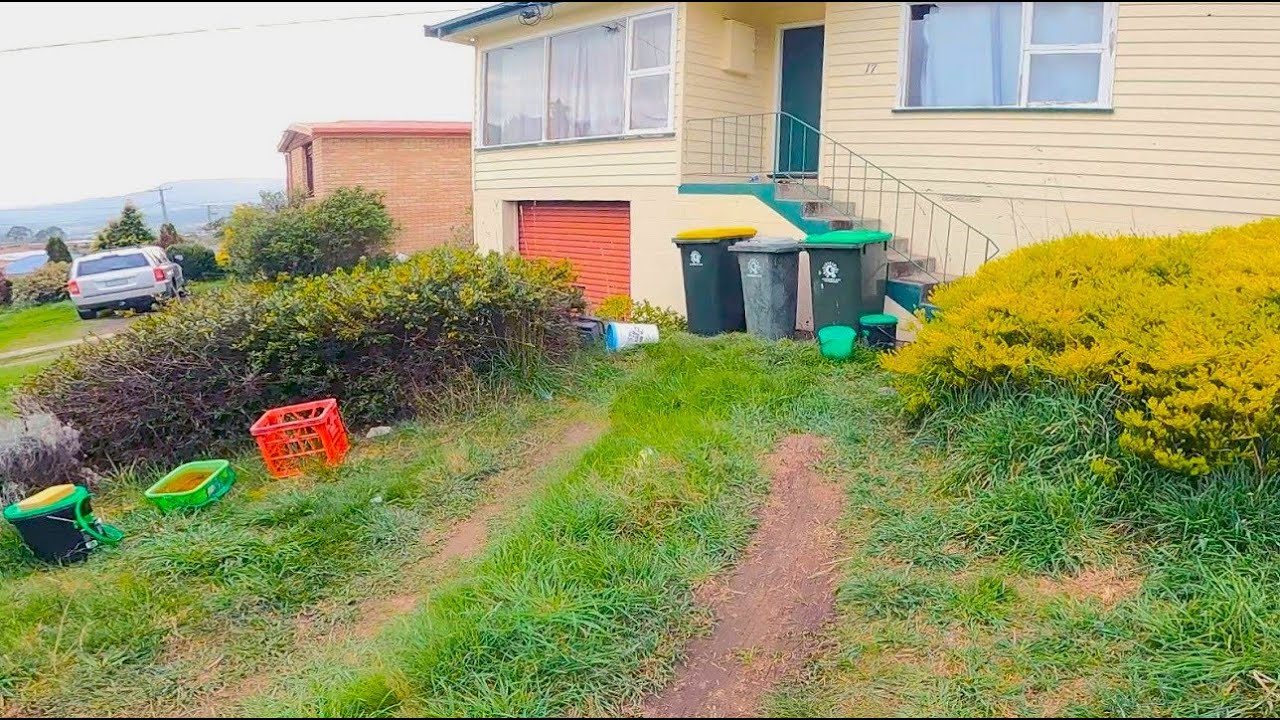 Will we be able to Rescue this Disaster | End of Lease Restoration!