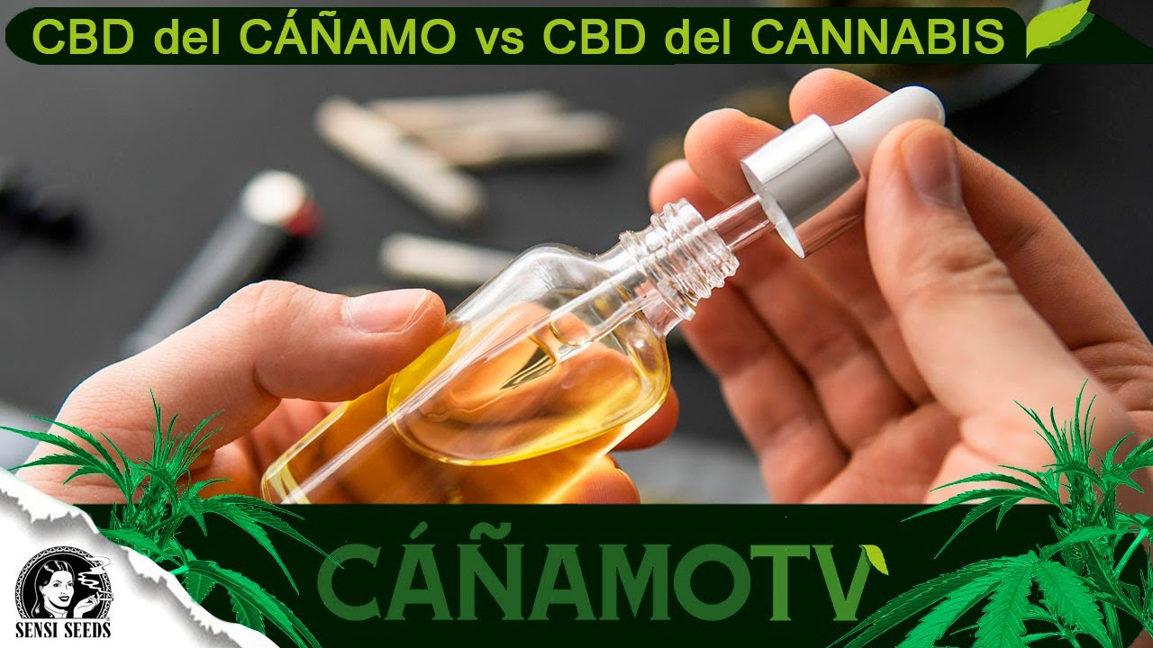 DIFERENCIAS entre el CBD del C&Aacute;&Ntilde;AMO y el CBD del CANNABIS