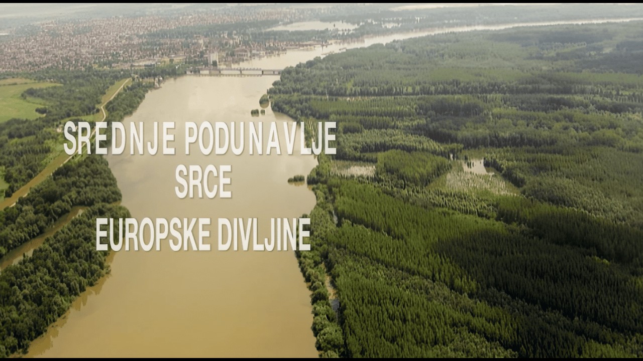 Srednje Podunavlje - srce europske divljine | HR
