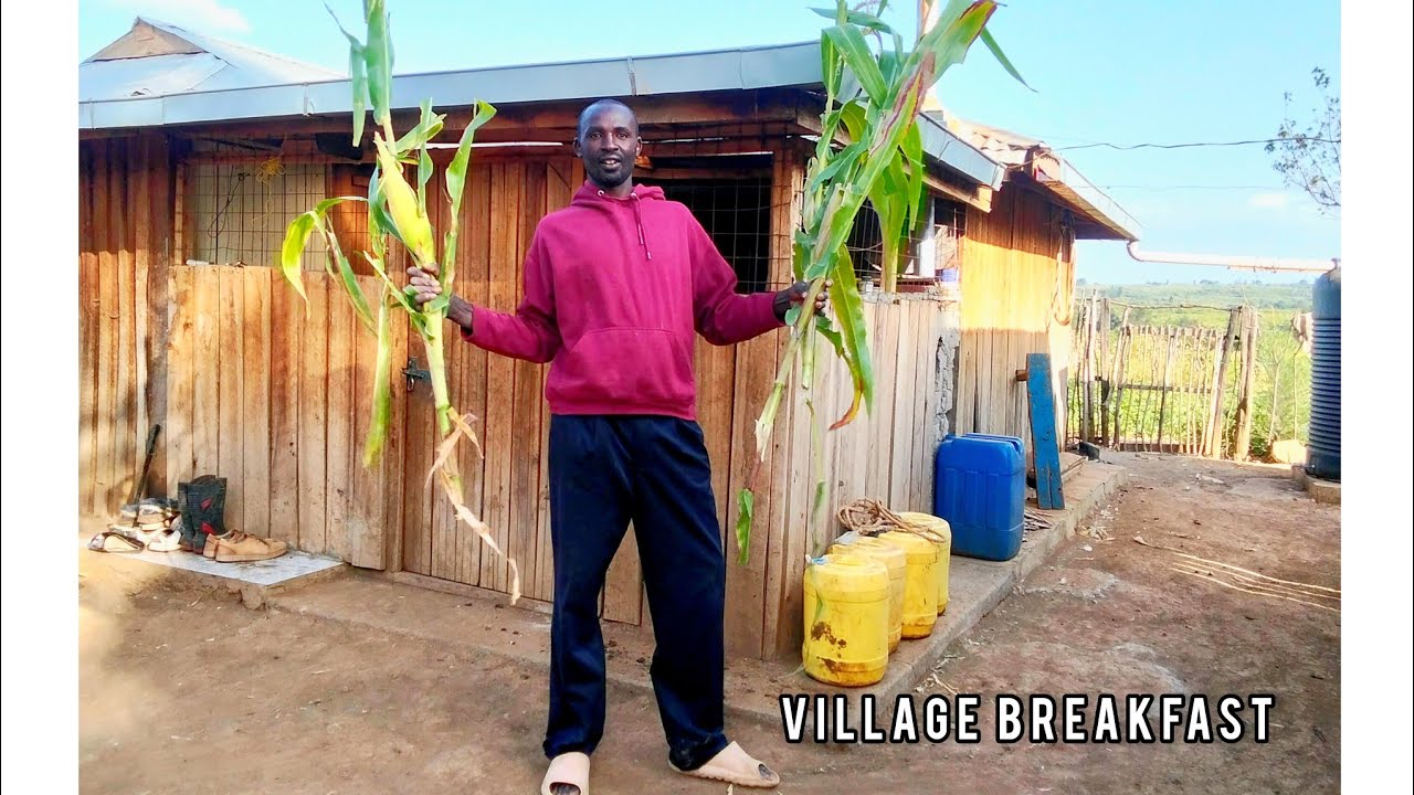 African Village Breakfast That Starts Your Day Right | Village Cooking