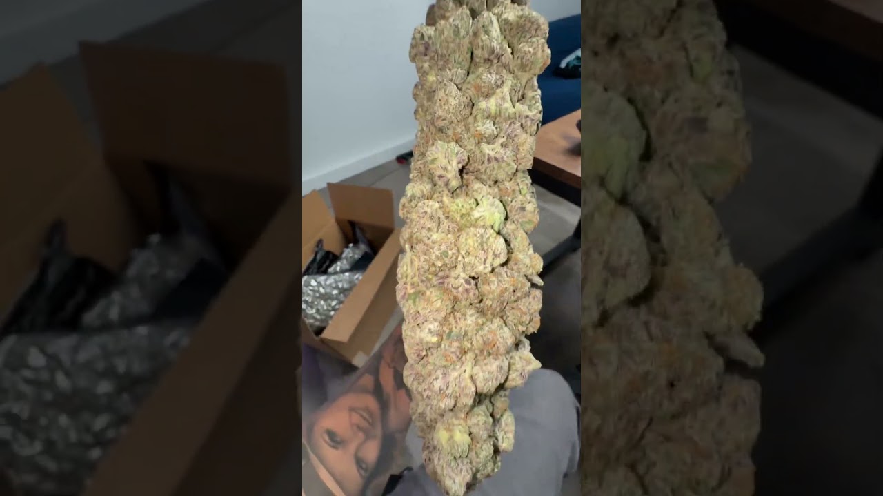 Ненавистники скажут, что это фейк