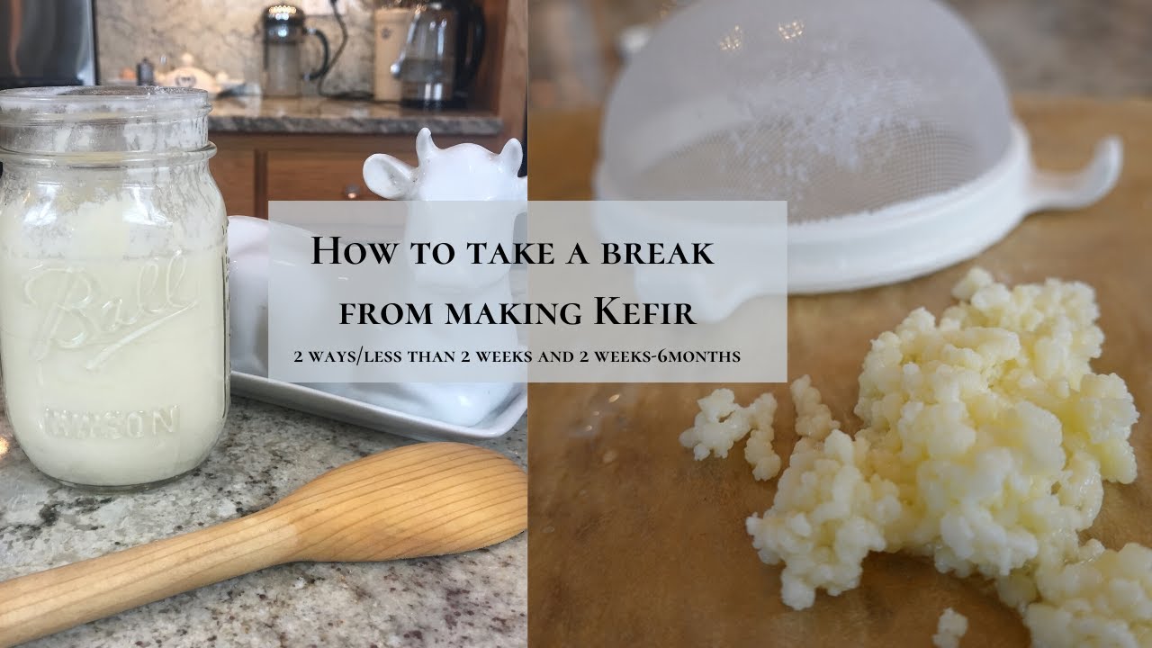 How To Store Milk Kefir Grains When You Take a Break