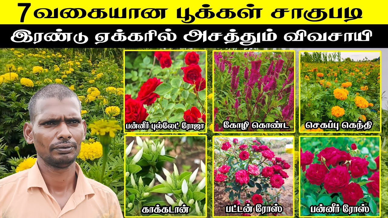இரண்டு எக்கரில் 7 வகை பூக்கள் சாகுபடி செய்து அசத்திய விவசாயி🌹🥀 😎😱🔥