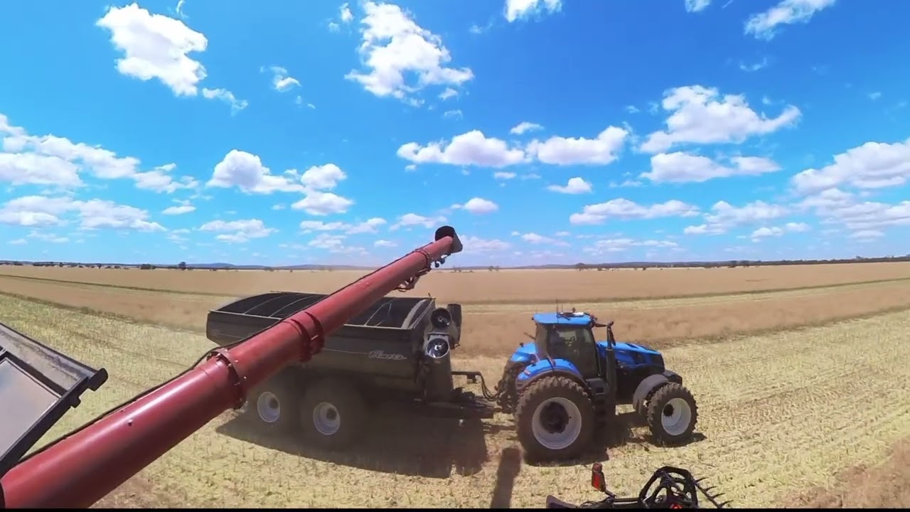 Harvest 2025