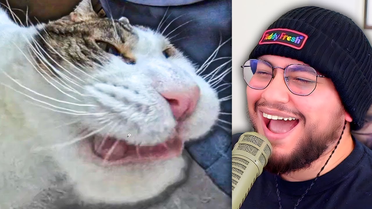 MASCOTAS FEAS DE MIS VIEWERS...