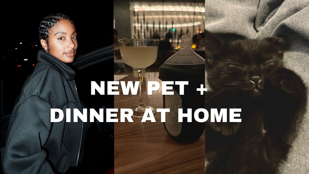 We Got a New Pet + Grocery Shopping & Dinner at Home