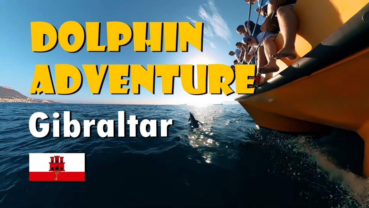 Dolphin Adventure in Gibraltar - 4K Ultra HD