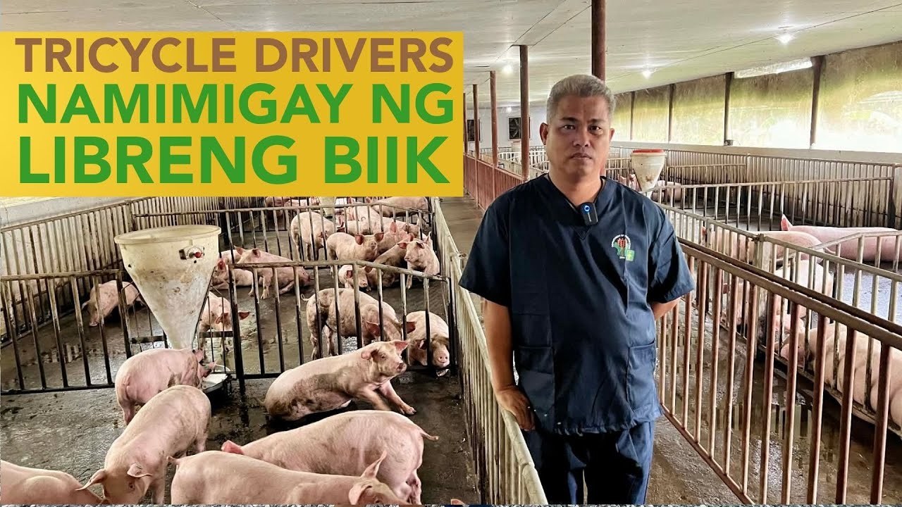 Dati ang Kita ay sa Pasada ng Tricycle lang, Ngayon Kumikita pa sa Pag-aalaga ng Baboy!