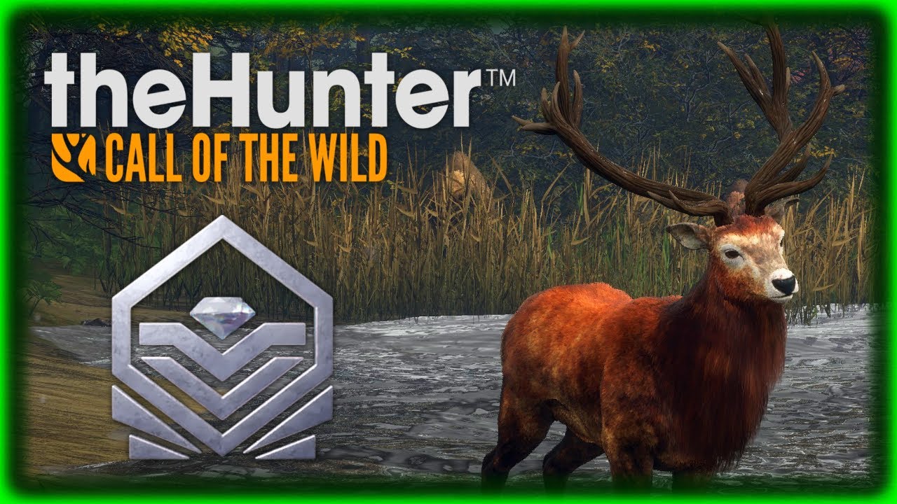 DIAMANTE NO JUEGUES CONMIGO AL ESCONDITE GAMEPLAY | the hunter call of the wild
