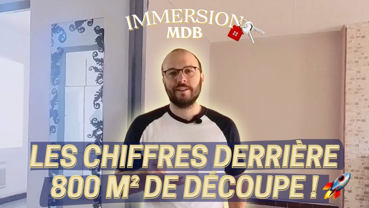 Une vente à la découpe dans le Sud : où en est-on 6 mois après ?  (Ep. 2)