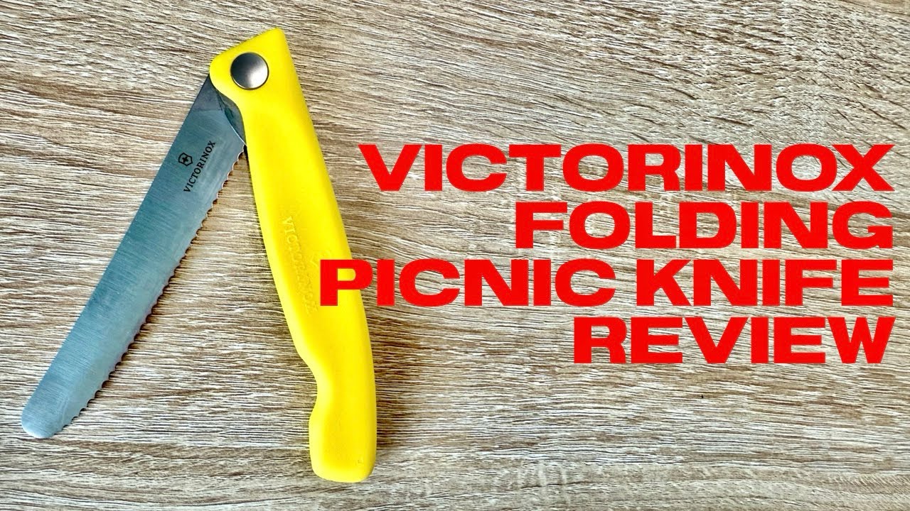 Swiss Army vs Folding: Which Picnic Knife Actually Works