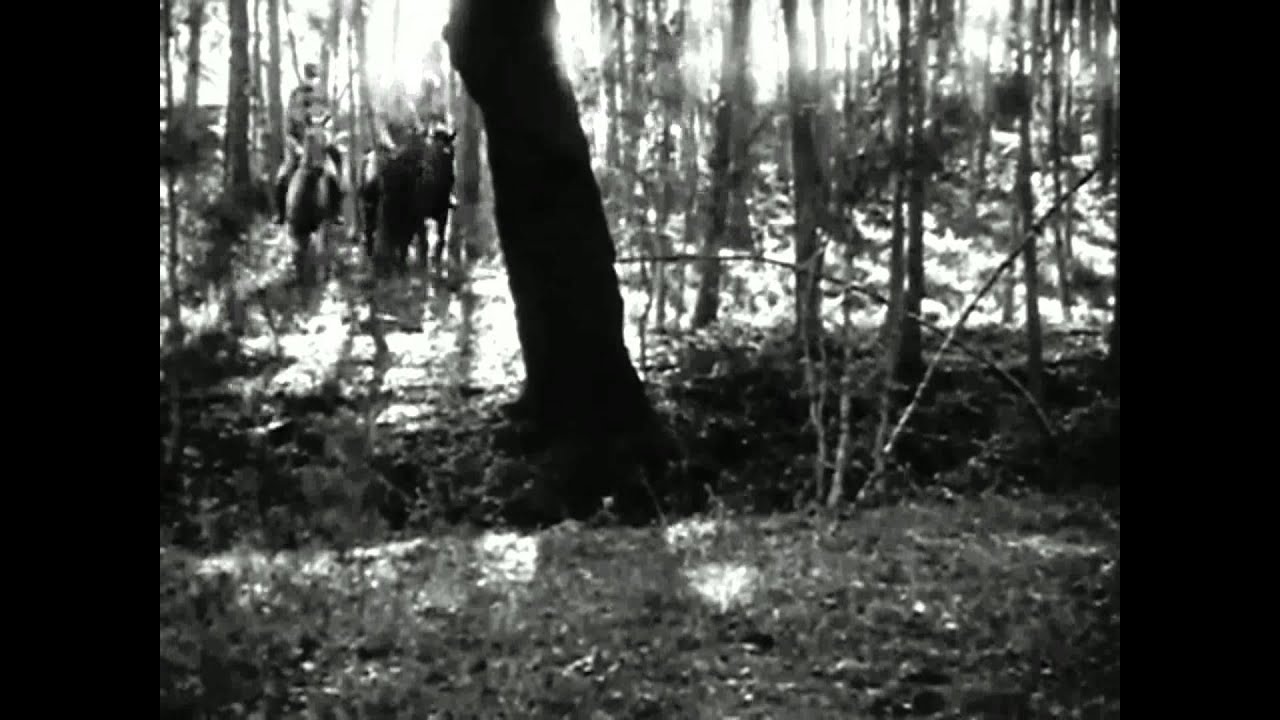 Cavalry Horseback Riding Training 'Modern Centaurs' circa 1920 Educational Films Corporation
