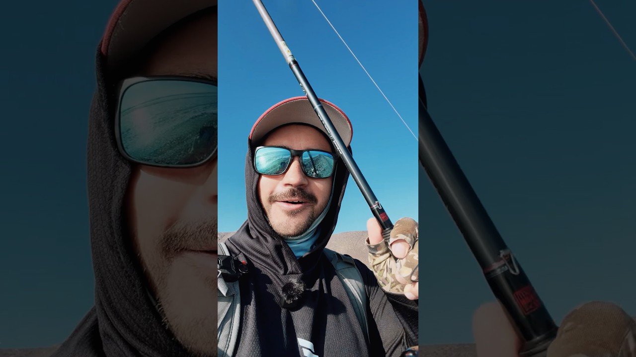 Muchas gracias 🙏🏻LINK EN LA BIOGRAFÍA 