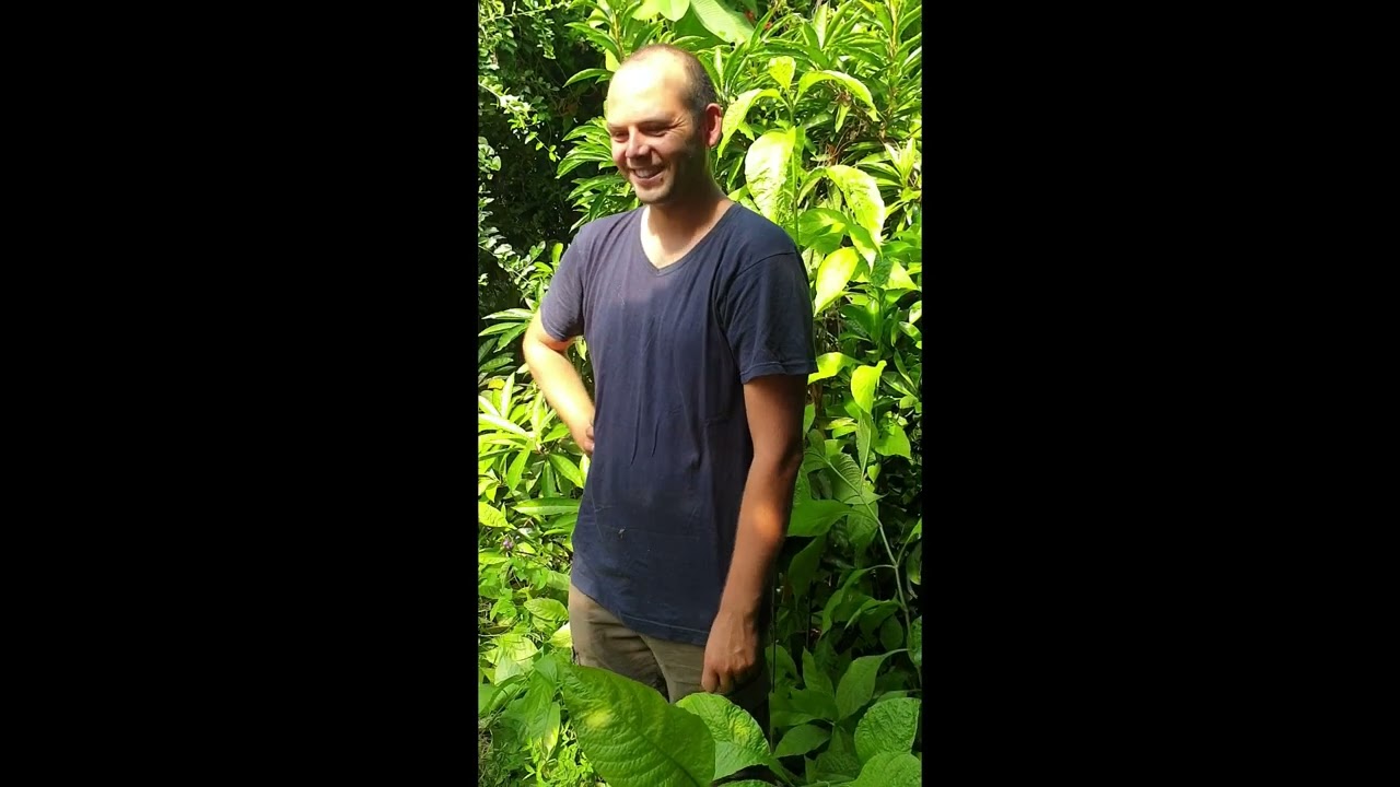 Messina nel famoso vivaio TROPICALE: Vivai Torre di Milazzo con piante ESOTICHE e anche preistoriche