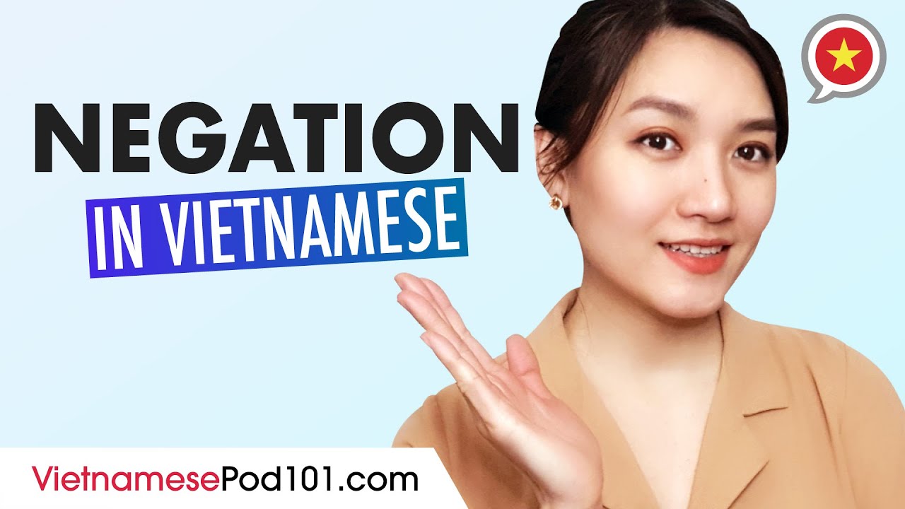Grammar: Negation in Vietnamese