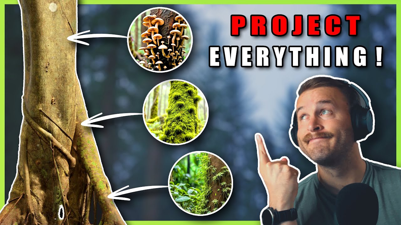 Speedtree Tutorial - Projector Tool #cgi #speedtree #speedtree9 #3d #vfx #projectortool