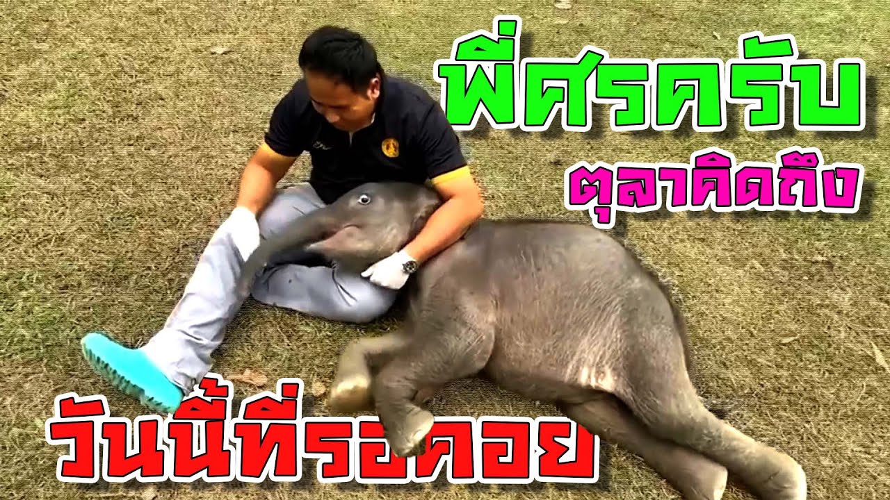 รักบานฉ่ำ ณ เขาสอยดาวของ🤪เด็กชายตุลากับพี่ศร😁 โหมดอ้อนแบบนี้แม่ fc ใจละลาย!!💘