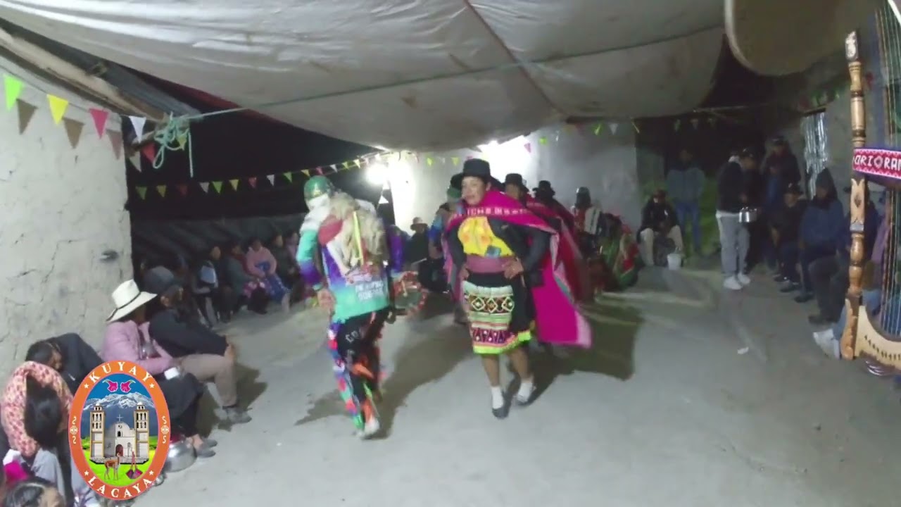 Llameritos de Chumpi hijos de pumahuiri -MALA CARA. EN LACAYA. 2026 NIÑO REY DEL MUNDO 