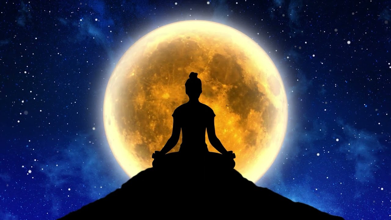 Dive into Tranquility: Healing Meditation Music Collection