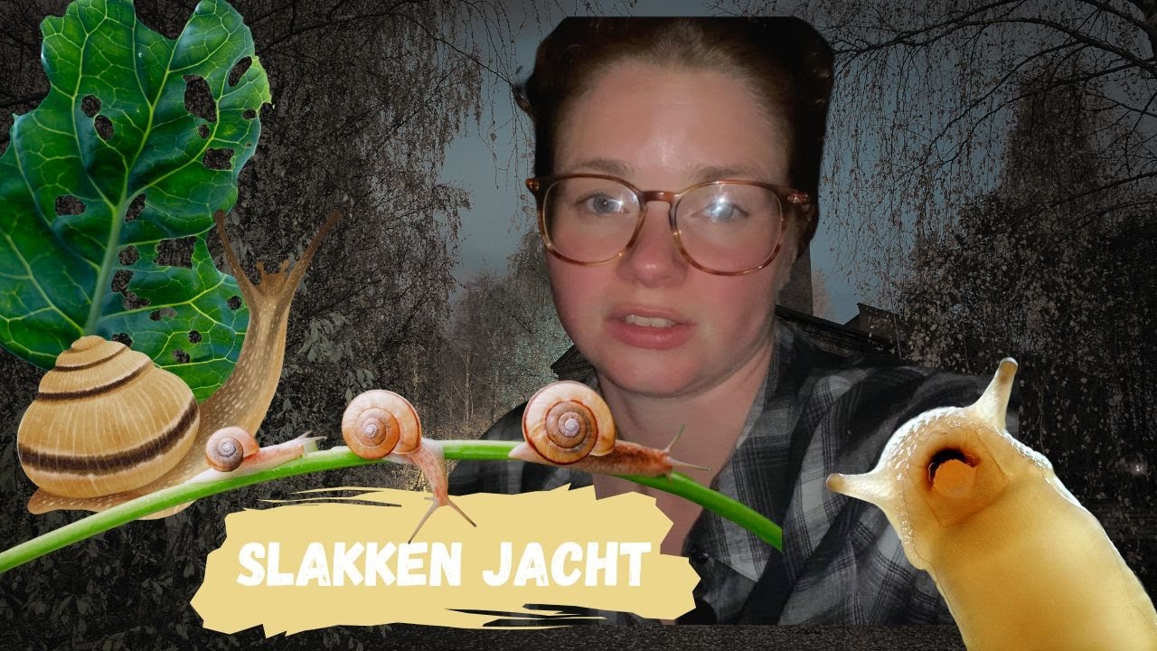 DE slakken tip voor de moestuin | Kom op jacht met mij naar slakken