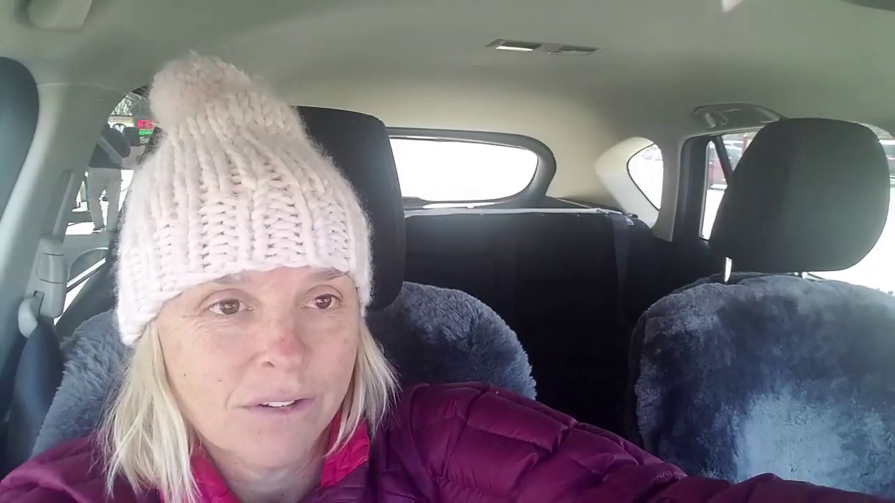 aggressive dog car reactivity part 1