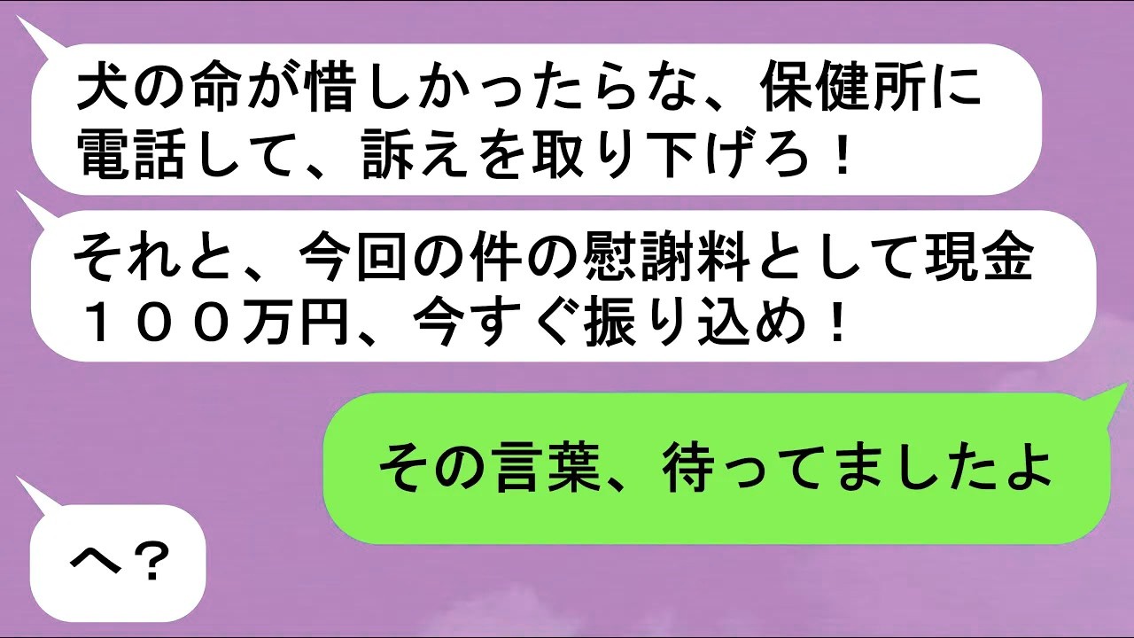 【LINE】同僚に譲った子犬が病気に・・・多額の治療費を請求され【スカッと】