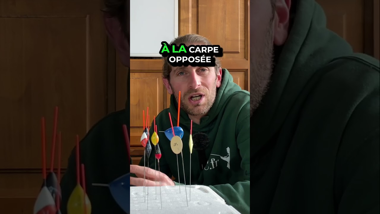 Pêche: Au coup, Anglaise et Carpe! Nos techniques de pêche 