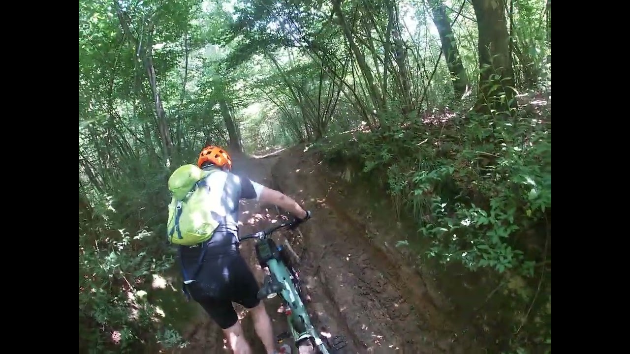 Nel bosco del seprio