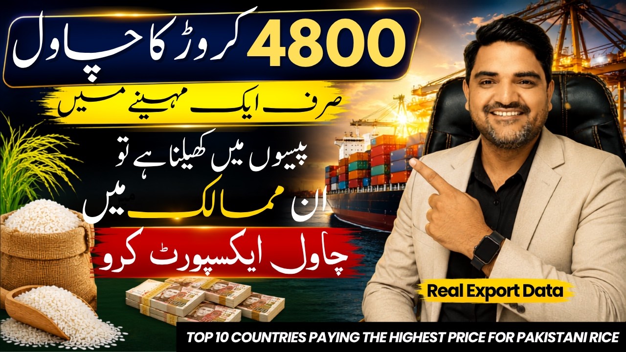 Top 10 Countries Paying the Highest Price for Pakistani Rice | Real Export Data