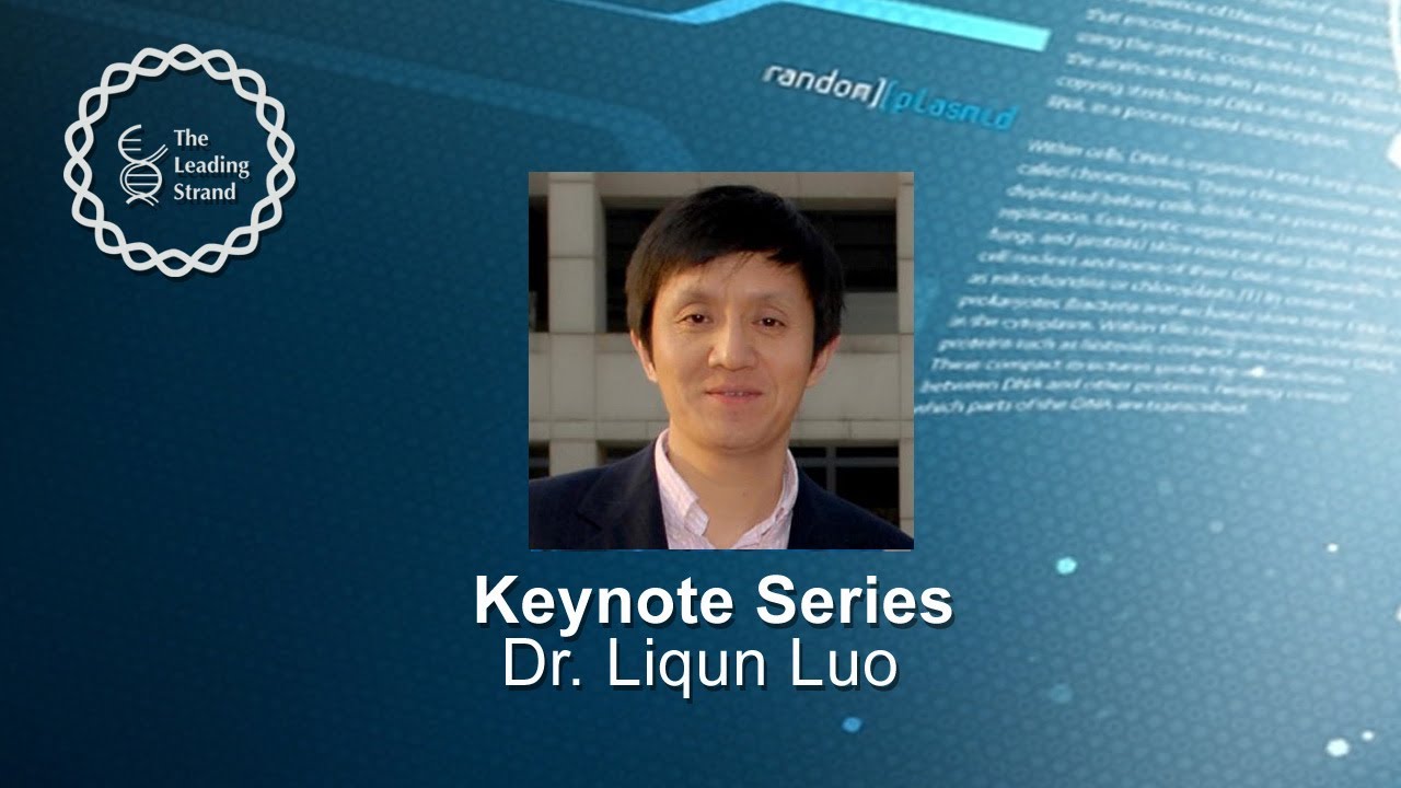 CSHL Keynote, Dr. Liqun Luo, Stanford University