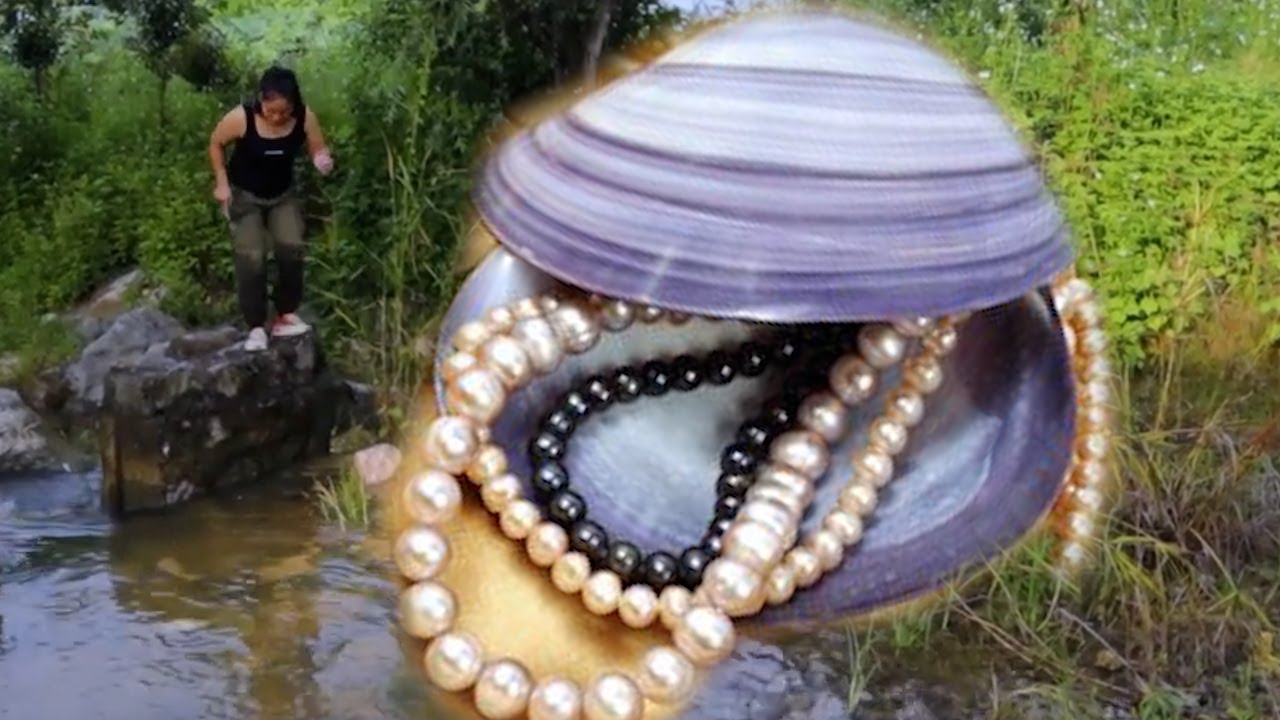 5 surprising things you can discover on the riverbed! Pearl # Gemstone # Freshwater # Clam Shell #