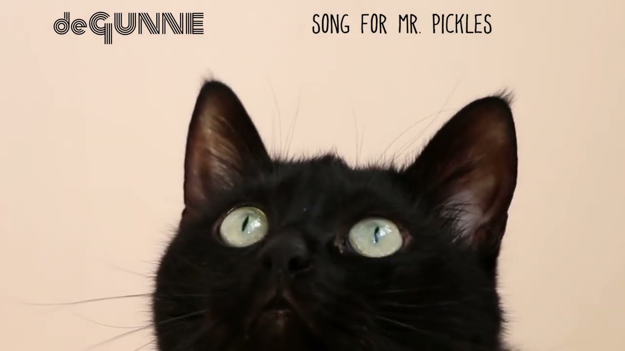 De Gunne - Song for Mr  Pickles (Official videoclip)