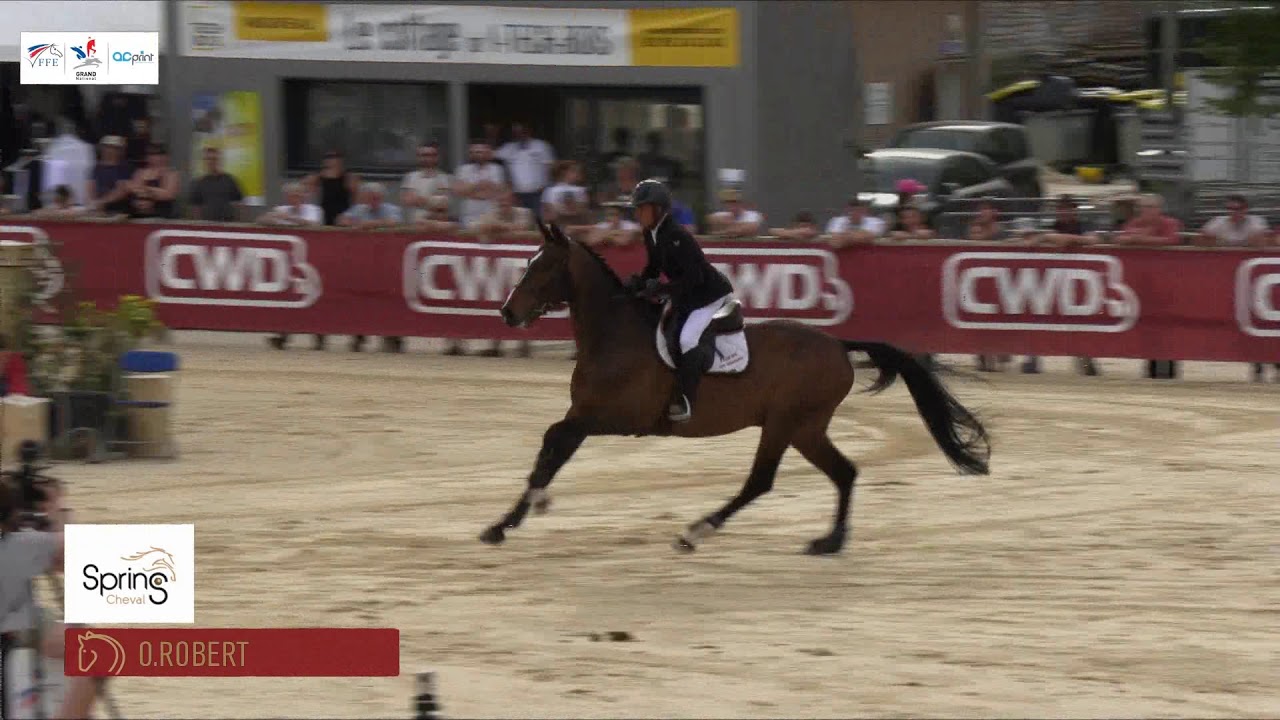 Grand National Cluny - Olivier Robert  et  Vivaldi des Meneaux