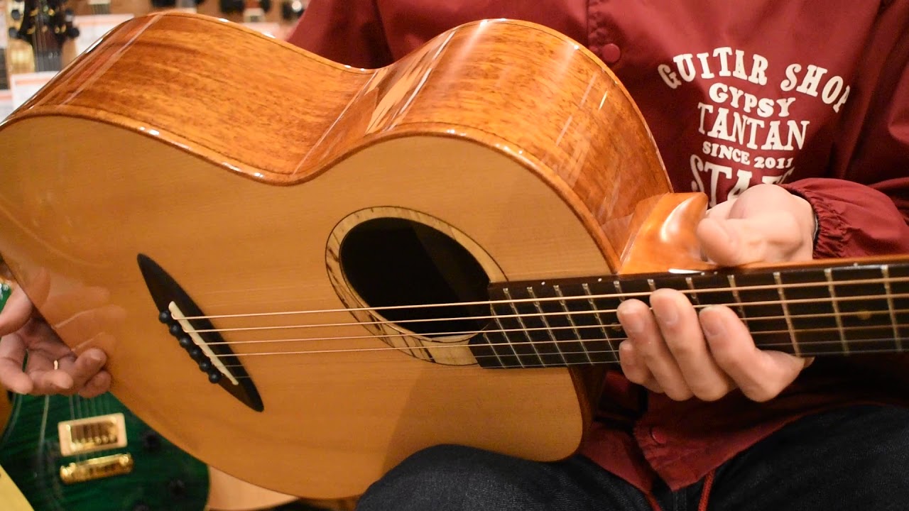 NEW/aNueNue aNN-M100@guitarshoptantan